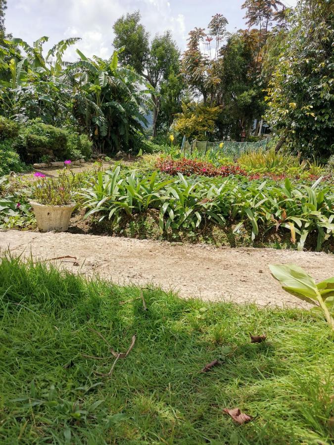 The Galways Edge Homestay Nuwara Eliya Exterior foto
